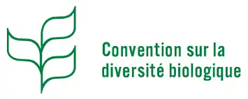 logo CDB.png